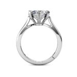 Le Fond Moissanite 1 ct